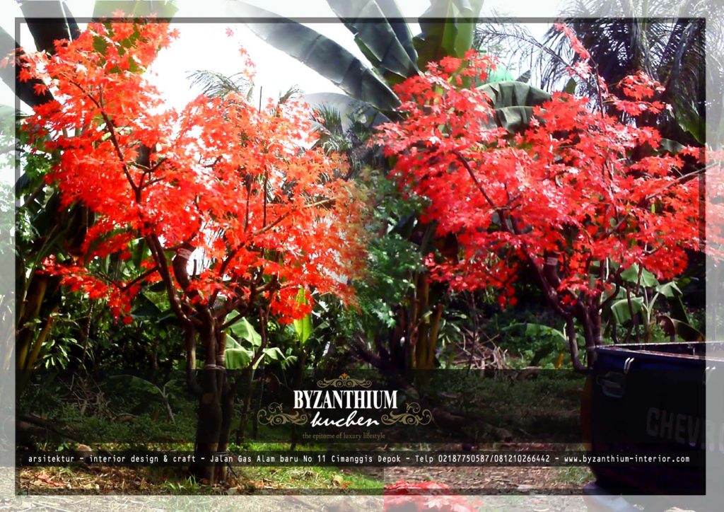 Pohon-plastik-maple-merah-1024x724 POHON PLASTIK ARTIFISIAL